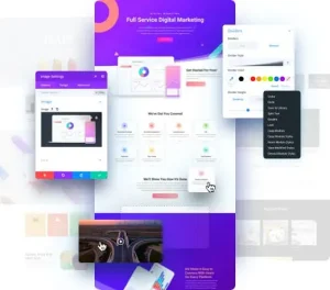 divi wordpress theme​