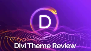divi wordpress theme​