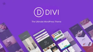divi wordpress theme​