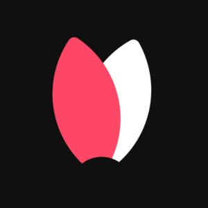 web consulting company